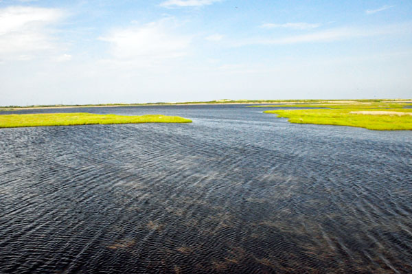 view from the viewing tower